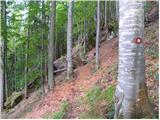 Planina Kosmačeve Rastke - Velika Raduha